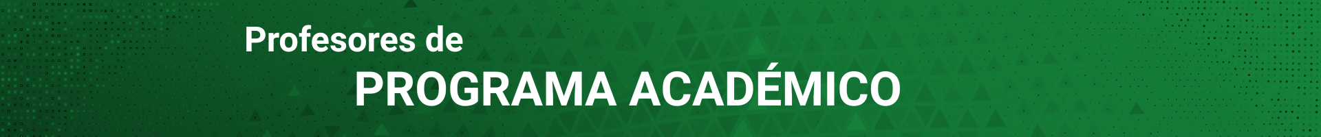 Docentes del programa académico